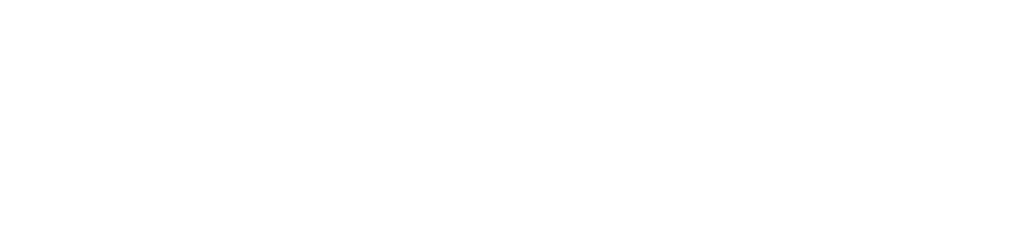 white YouCopia logo