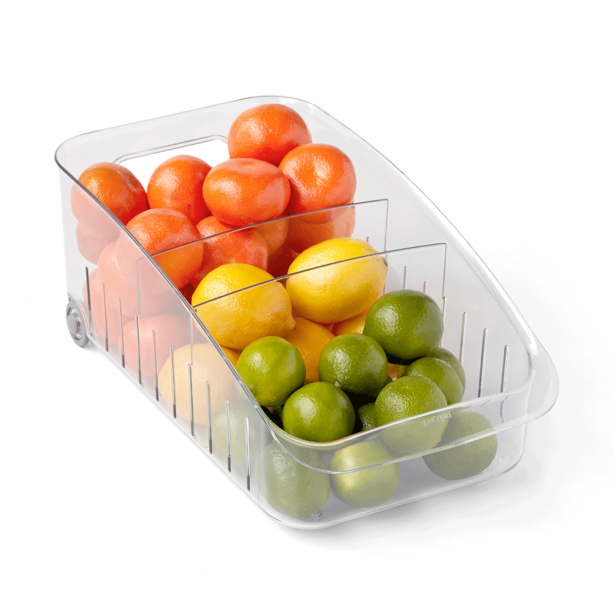 Clear rolling plastic container bin with oranges, lemons, and limes on a white background