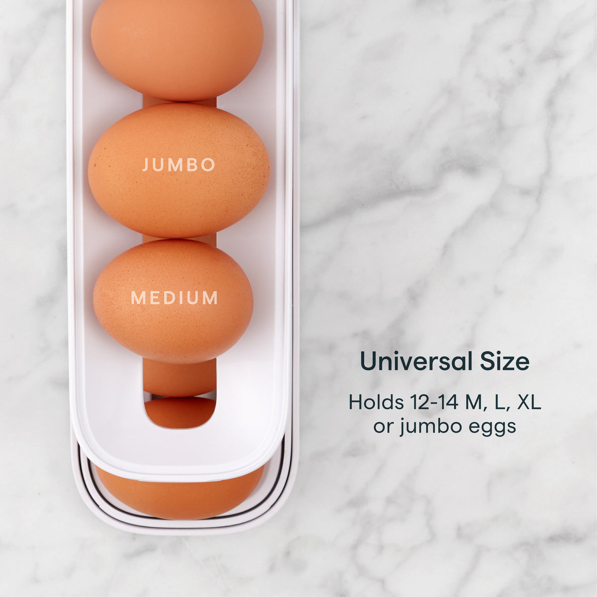 RollDown® Egg Dispenser